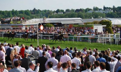 chester races finishing line may 2010