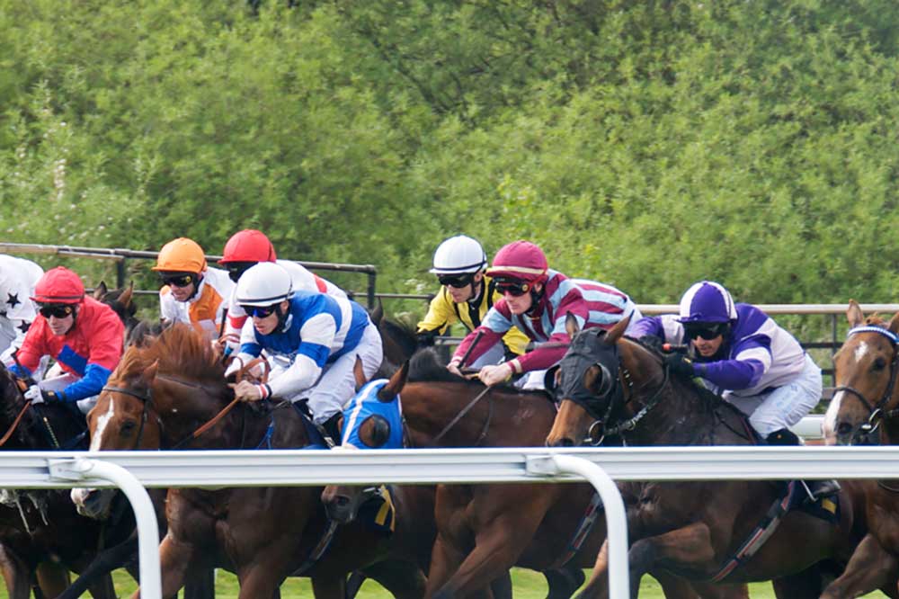 horse racing at chester races 22 05 2010