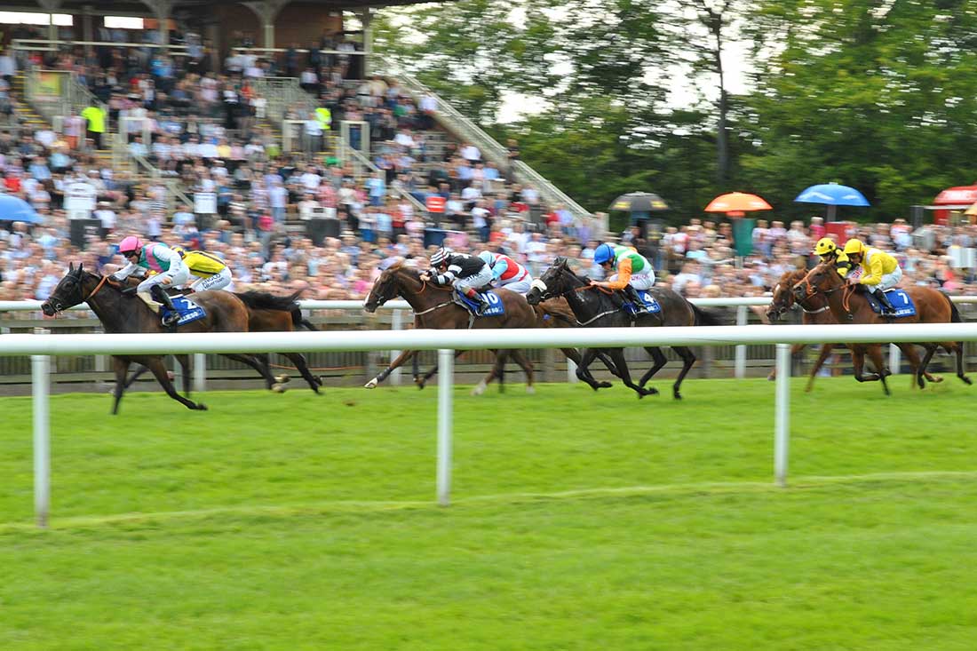 newmarket horse racing 21 july 2012