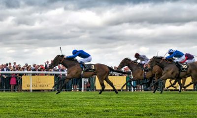 Royal Ascot horse racing